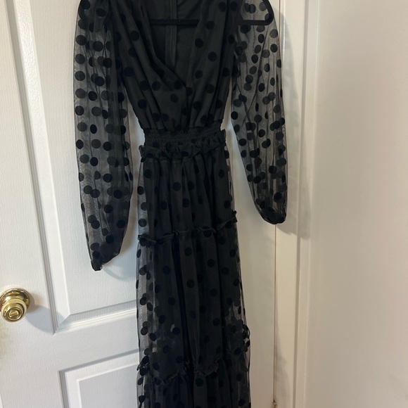 Black Polka Dot Mesh Dress - Picture 2 of 4